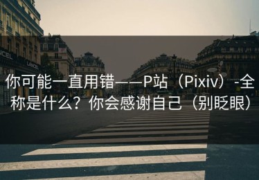 你可能一直用错——P站（Pixiv）-全称是什么？你会感谢自己（别眨眼）