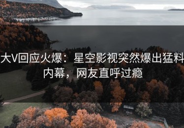 大V回应火爆：星空影视突然爆出猛料内幕，网友直呼过瘾