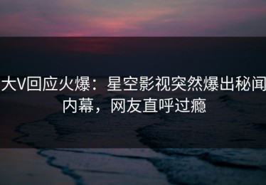 大V回应火爆：星空影视突然爆出秘闻内幕，网友直呼过瘾