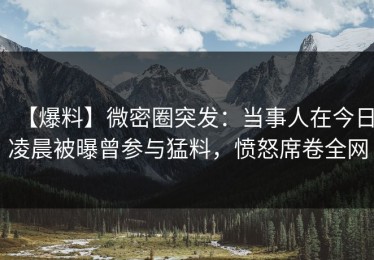 【爆料】微密圈突发：当事人在今日凌晨被曝曾参与猛料，愤怒席卷全网