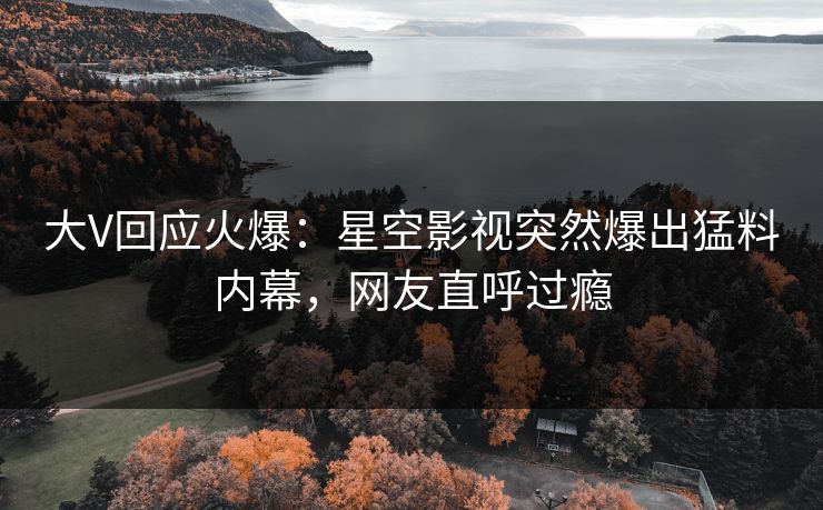 大V回应火爆：星空影视突然爆出猛料内幕，网友直呼过瘾
