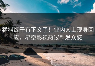 猛料终于有下文了！业内人士现身回应，星空影视热议引发众怒