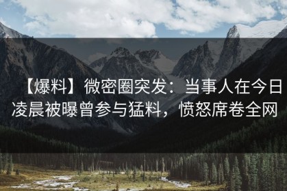 【爆料】微密圈突发：当事人在今日凌晨被曝曾参与猛料，愤怒席卷全网