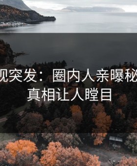 星空影视突发：圈内人亲曝秘闻全程，真相让人瞠目