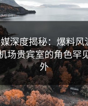 蜜桃传媒深度揭秘：爆料风波背后，明星在机场贵宾室的角色罕见令人意外