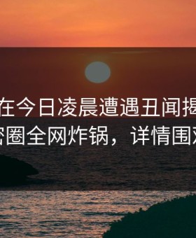 神秘人在今日凌晨遭遇丑闻揭秘，微密圈全网炸锅，详情围观