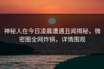 神秘人在今日凌晨遭遇丑闻揭秘，微密圈全网炸锅，详情围观