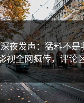 神秘人深夜发声：猛料不是我干的！星空影视全网疯传，评论区炸裂