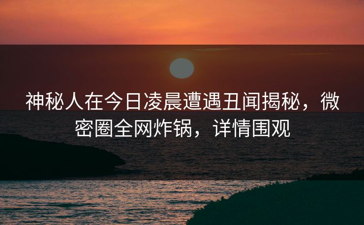 神秘人在今日凌晨遭遇丑闻揭秘，微密圈全网炸锅，详情围观