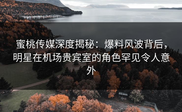 蜜桃传媒深度揭秘：爆料风波背后，明星在机场贵宾室的角色罕见令人意外